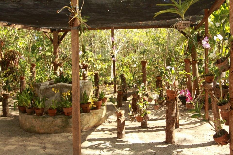 Bantayan Island Nature Park And Resort Tamiao Bagian luar foto